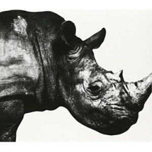 CD/Mr.Children/Mr.Children 1992-1995｜サプライズweb