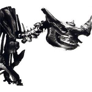 ミュージック Mr.Children Mr.Children - Shinkai - Amazon.com Music