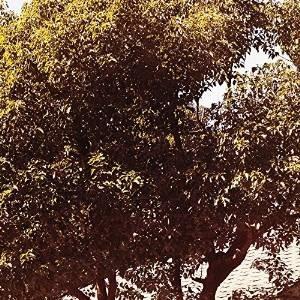 【取寄商品】CD/笹倉慎介/TIME STREAM season2 (紙ジャケット)