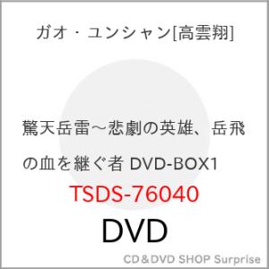 【取寄商品】DVD/海外TVドラマ/驚天岳雷〜悲劇の英雄、岳飛の血を継ぐ者 DVD-BOX1