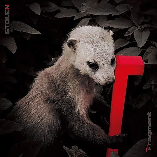 CD/STOLEN/Fragment (紙ジャケット)