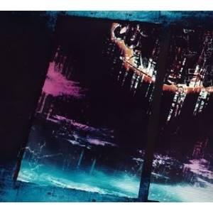 廃盤 PIERROT 3DVD ATTACK to THE FREEDOM FC限定 ピエロ : Disc