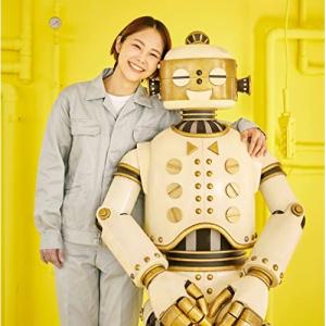 kanekoayano カネコアヤノ 群れたち レコード LP アナログ盤 500枚限定