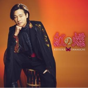 CD/山内惠介/紅の蝶 (歌詩、メロ譜付) (祭盤)｜サプライズweb