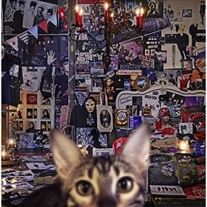 BUCK-TICK バクチク / TABOO タブー 1989.01.18 4thアルバム 初回限定