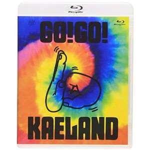 BD/木村カエラ/KAELA presents GO!GO! KAELAND 2014 -10years anniversary-(Blu-ray) (通常版)｜surpriseweb