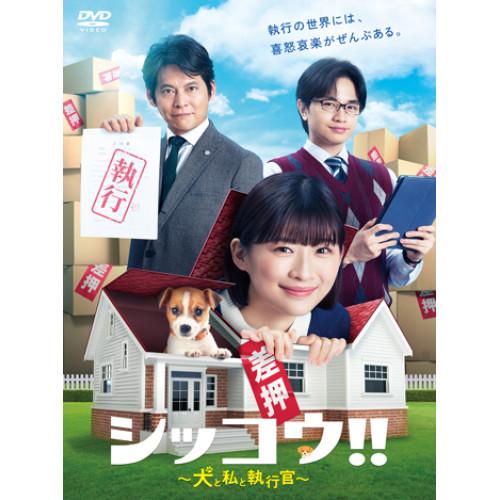 DVD/国内TVドラマ/シッコウ!!〜犬と私と執行官〜 DVD-BOX【Pアップ