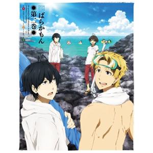 Dvd Tvアニメ ばらかもん 第二巻 サプライズweb 通販 Paypayモール