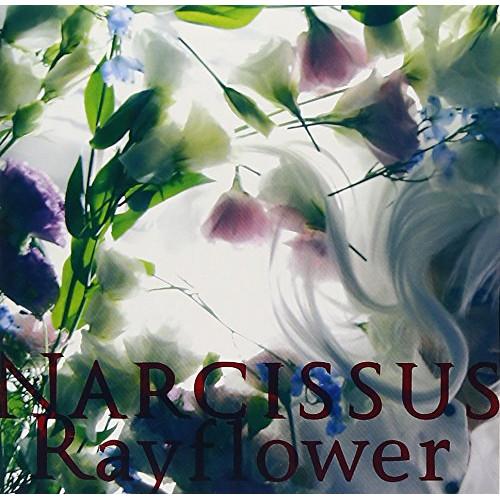 CD/Rayflower/NARCISSUS (歌詞付)【Pアップ
