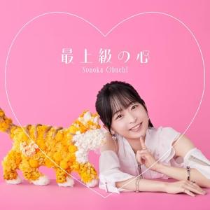 CD/大渕野々花/最上級の心 (歌詞付) (直筆サイン入り限定盤)｜サプライズweb