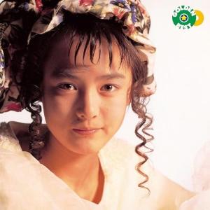 CD/藤谷美紀/ゴールデン☆ベスト 藤谷美紀 (解説付)