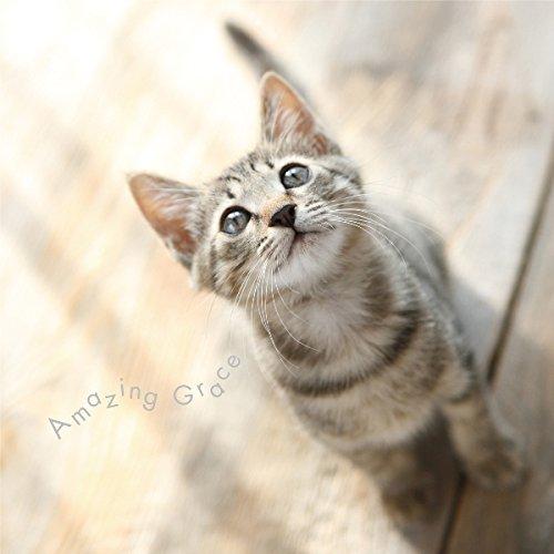 CD/クラシック/まるごと!アメイジング・グレイス【Pアップ