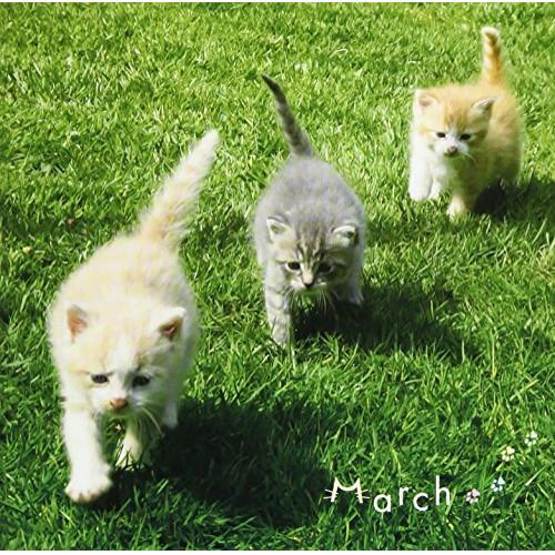 CD/クラシック/まるごと!マーチ (解説付)