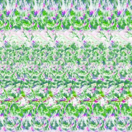 CD/Tempalay/ゴーストアルバム (CD+DVD) (初回限定盤)