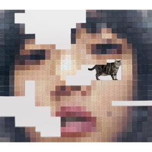 CD/あいみょん/猫にジェラシー (CD+2DV...の商品画像