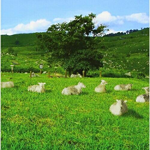 CD/DJ YOGURT &amp; KOYAS/チル・アウト