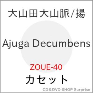 【取寄商品】カセット/大山田大山脈,揚/Ajuga Decumbens