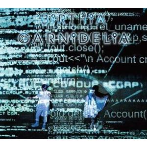 中古アニメ系CD GARNiDELiA / BiRTHiA[DVD付初回限定盤]
