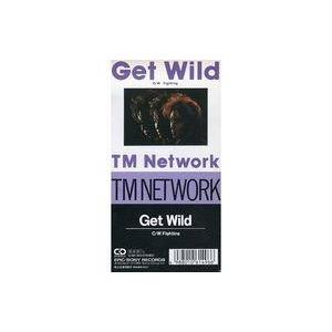 中古アニメシングルCD TM NETWORK / Get Wild