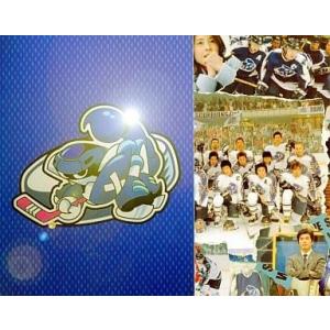 中古国内TVドラマDVD プライド DVD-BOX