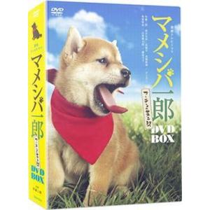 中古国内TVドラマDVD マメシバ一郎 フーテンの芝二郎