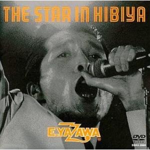 矢沢永吉 1991 Big Beat STADIUM 8.24 横浜スタジアム DVD : gogomedia