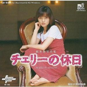中古Windows3.1 チェリーの休日 桜井智写真集