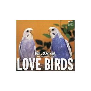 中古Windows95 LOVE BIRDS 癒しの小鳥
