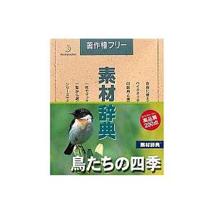 中古Windows95 素材辞典 Vol.96 鳥たちの四季編