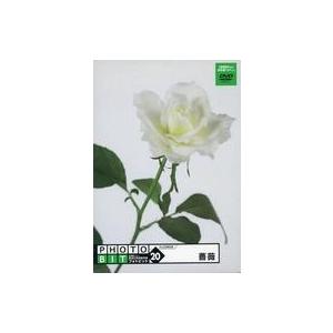 中古Windows95 PHOTOBIT 20 薔薇