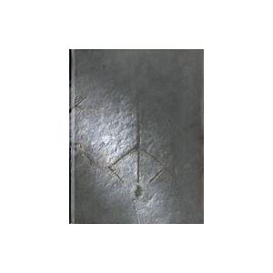 中古アニメムック ≪アクションRPGゲーム≫ Bloodborne Collector s Edition Guide [洋書]