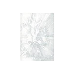 中古アニメムック パンフレット シン・エヴァンゲリオン劇場版：||