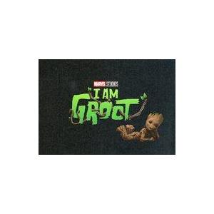 中古パンフレット パンフレット アイ・アム・グルート I am Groot