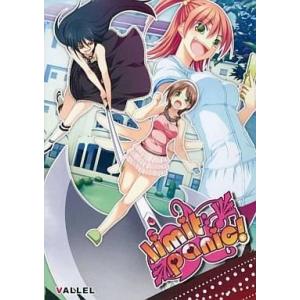 中古同人GAME CDソフト limit panic! / VALLEL