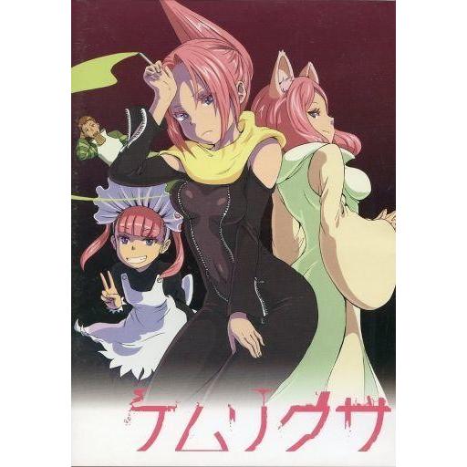 中古同人動画 DVDソフト ケムリクサ / irodori
