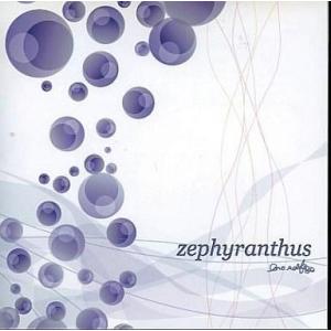 中古同人音楽CDソフト zephyranthus / love solfege