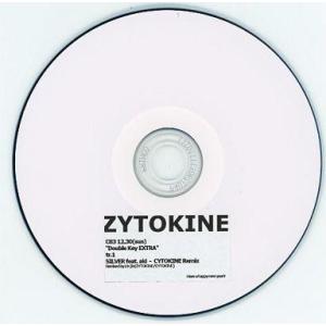 中古同人音楽CDソフト Double Key EXTRA / ZYTOKINE