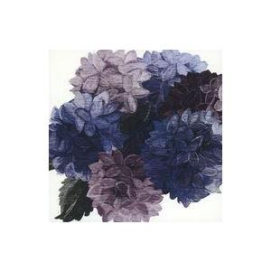 中古同人音楽CDソフト Anonymous’s Elegy / Blaite Records