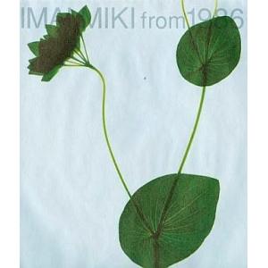 中古邦楽CD 今井美樹 / IMAI      ，MIKI from 1986