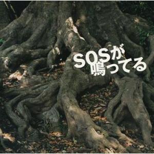中古邦楽CD 麗蘭/SOSが鳴ってる