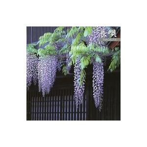 中古邦楽CD 邦楽決定版2000シリーズ/長唄｜suruga-ya