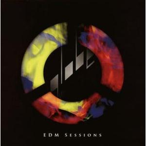 中古邦楽CD globe / globe EDM Sessions