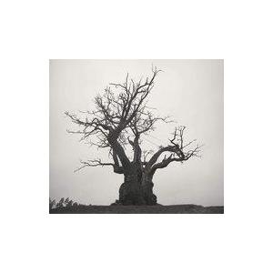 中古ジャズCD オムニバス / GREAT JAZZ Selection(HYBRID SACD 中古ジャズCD オムニバス / GREAT JAZZ Selection(HYBRID SACD
