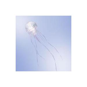 中古邦楽CD SCANDAL / LUMINOUS[Blu-ray付初回限定盤A]