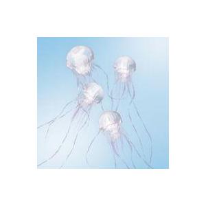 中古邦楽CD SCANDAL / LUMINOUS[通常盤]