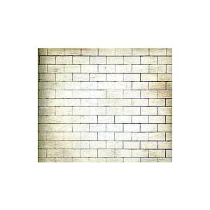 中古洋楽CD ピンク・フロイド / ウォール(廃盤)