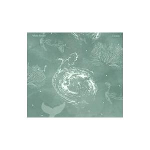 中古ニューエイジCD シカーダ / White Forest