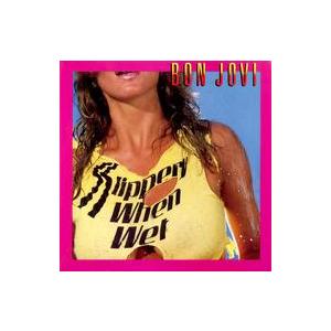中古LPレコード ボン・ジョヴィ / ワイルド・...の商品画像