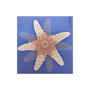 ユニバーサルミュージック スピッツ 花鳥風月+(重量盤)(完全受注限定