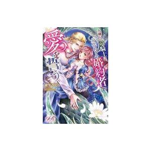 ライトノベルその他サイズ 人嫌いの竜騎士は 身代わりの婚約者に愛を誓う